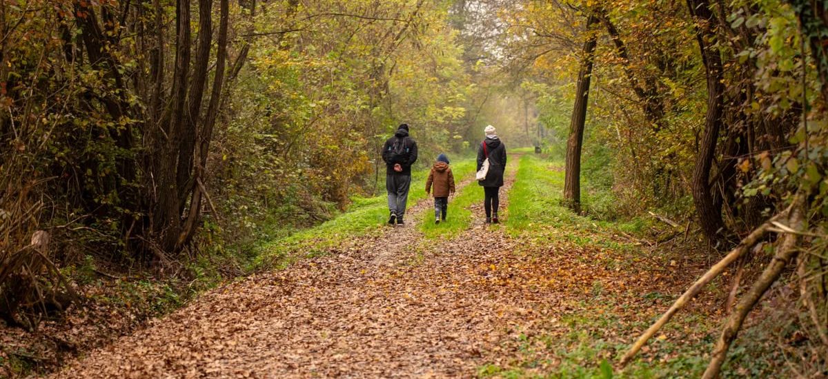 Family walking on a scenic autumn forest path in rural Croatia.
