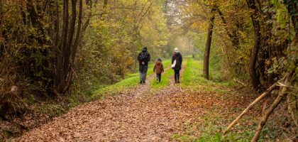 Family walking on a scenic autumn forest path in rural Croatia.