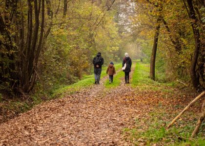 Family walking on a scenic autumn forest path in rural Croatia.